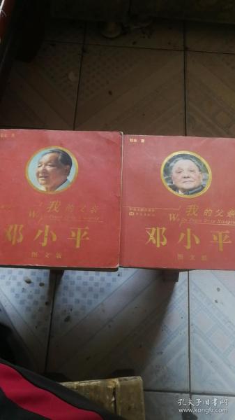 我的父亲邓小平（中卷 下卷）（图文版）