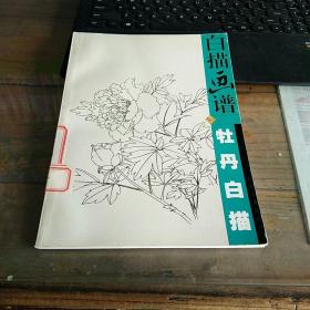 白描画谱.牡丹白描