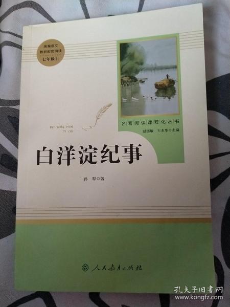 白洋淀纪事 名著阅读课程化丛书（统编语文教材配套阅读）七年级上