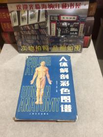 人体解剖彩色图谱
