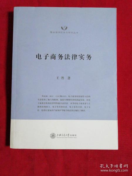 隆安律师实务与学术丛书：电子商务法律实务