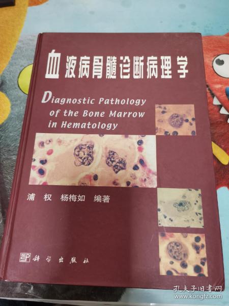 血液病骨髓诊断病理学