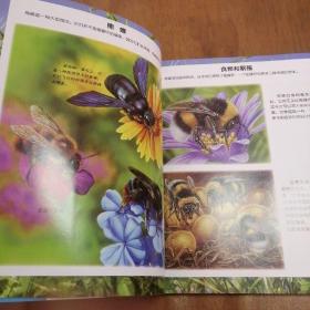 法国趣味图解小百科：小动物档案