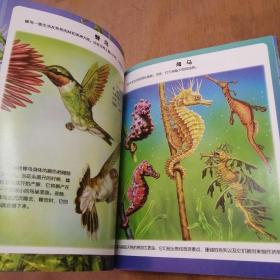 法国趣味图解小百科：小动物档案
