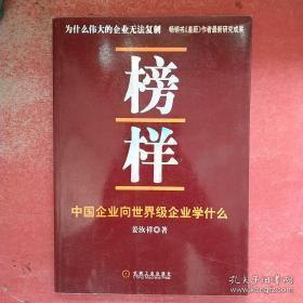 正版    榜样：中国企业向世界级企业学什么；一版一印
