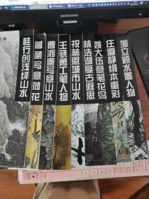 当代著名画家技法经典（全套十册）邹立颖水墨人物，庄道静绢本重彩，姚大伍意笔花鸟，林浩湖复古遐思，祝林恩城市山水，王骁勇工笔人物，曹湘秦写意山水，翁振新写意人物，曾葳写意荷花.，桂行创浅绛山水