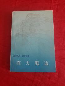 在大海边(译文丛刊・诗歌特辑)