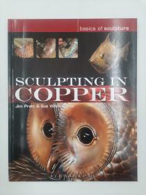 Sculpting in Copper (Basics of Sculpture) 铜雕艺术