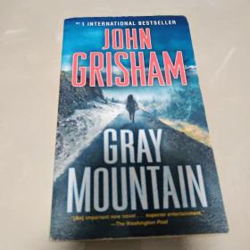 Gray Mountain  A Novel
