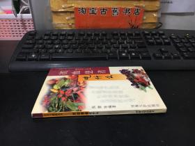 贫血患者吃什么  9787563013838