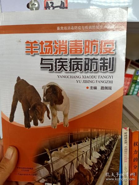 羊场消毒防疫与疾病防制