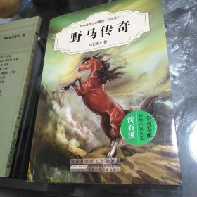 中外动物小说精品（升级版）：野马传奇