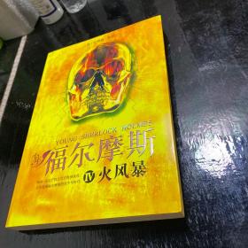 火风暴：少年福尔摩斯4