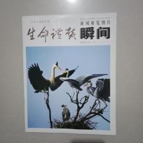 新闻展览图片瞬间(生命礼赞)2008年第5期