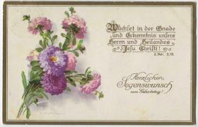 德国 1925年 实寄明信片 花卉 非洲菊CARD-K02 DD