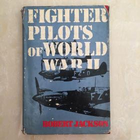 FIGHTER PILOTS OF WORLD WAR II 第二次世界大战的战斗机飞行员