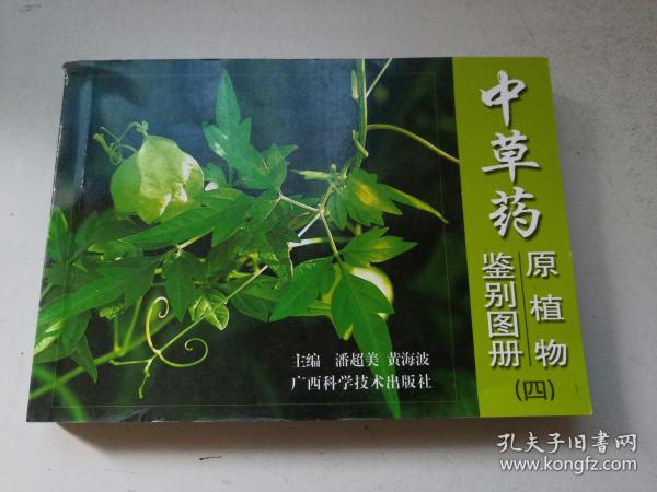 中草药原植物鉴别图册（四）