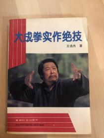 大成拳实作绝技