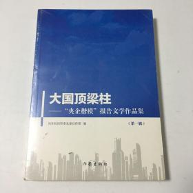 大国梁柱:' 央企楷模'报告文学作品集第一辑