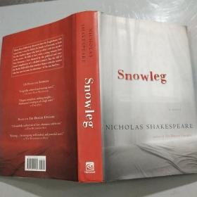 NICHOLAS SHAKESPEARE SNOWLEG