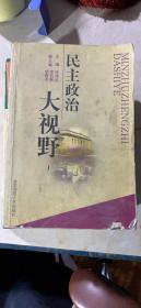 正版   民主政治大视野