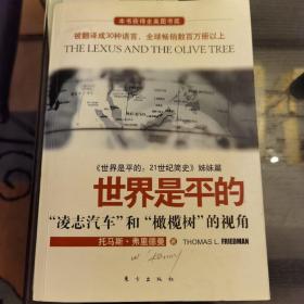 世界是平的：《世界是平的：21世纪简史》姊妹篇