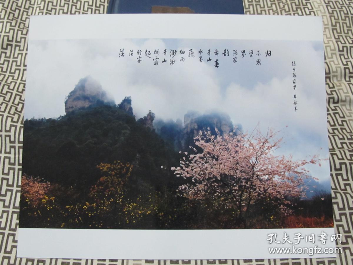 艺术摄影照片1709--空山新雨后