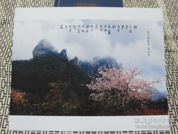 艺术摄影照片1709--空山新雨后