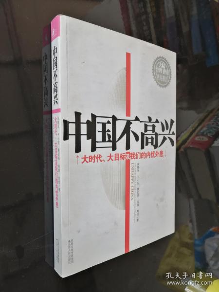 中国不高兴：大时代大目标及我们的内忧外患