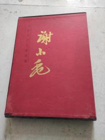 中国当代名家画集：谢小毛