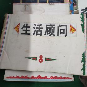 《自制剪报本（生活顾问）》 品好8品，内有很多日常生活的技巧 常识等如图