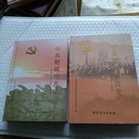 中共肥城地方史第一卷(1927-1949) 第二卷(1949-1978)二本合售