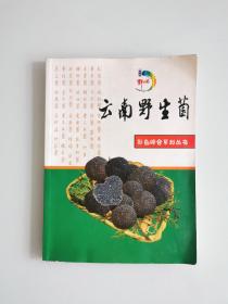 云南野生菌•彩色综合系列丛书