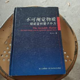 不可视觉物质：暗能量和量子外力