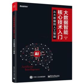 大数据智能核心技术入门：从大数据到人工智能