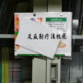 足反射疗法挂图