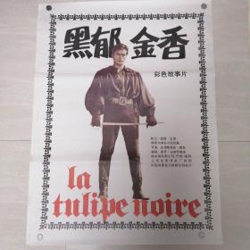 一开电影海报黑郁金香