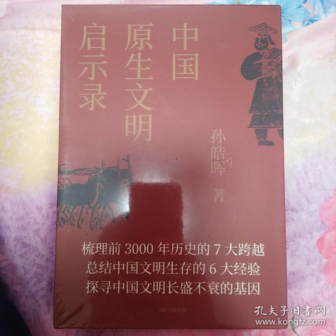 中国原生文明启示录