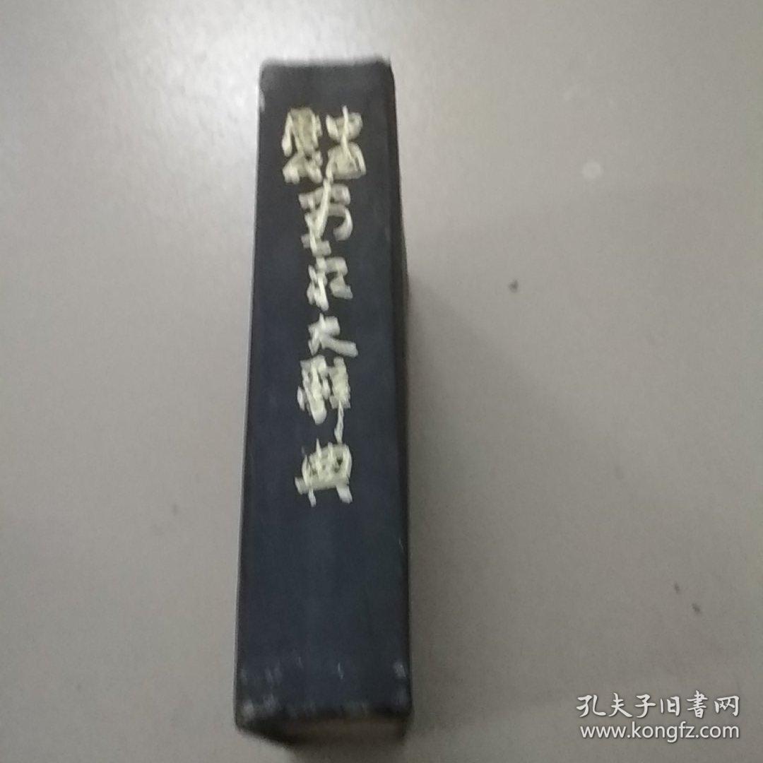中国历代画家大辞典