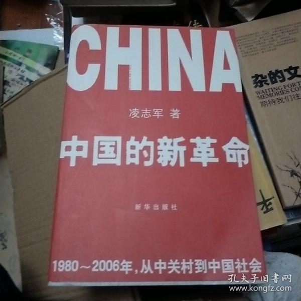 中国的新革命：1980-2006年，从中关村到中国社会