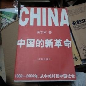 中国的新革命：1980-2006年，从中关村到中国社会