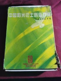 中国动漫创业策划方案（上下册）中国阳光巴士创业方案