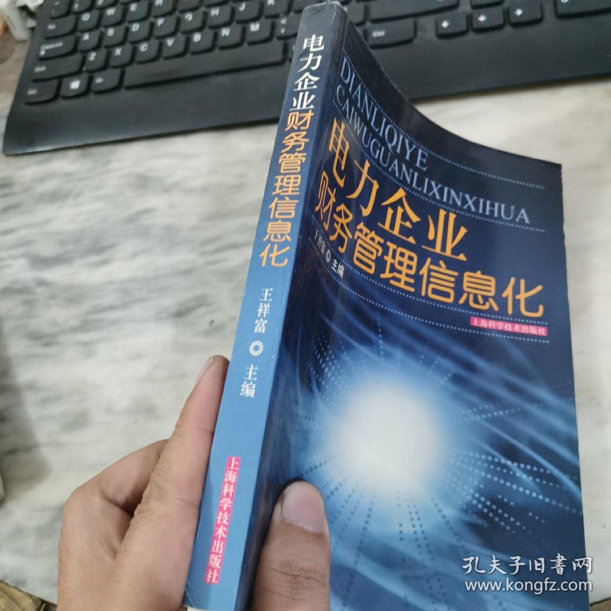 电力企业财务管理信息化