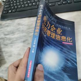 电力企业财务管理信息化