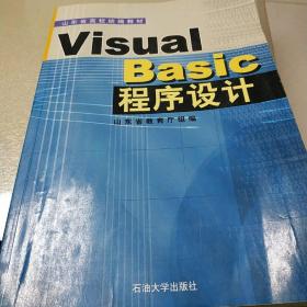 visualbasic程序设计