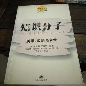 知识分子译丛：知识分子——美学、政治与学术