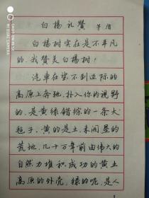 现在散文名篇钢笔字帖