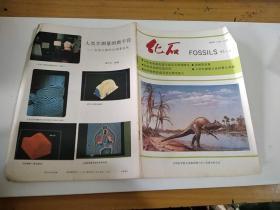 化石(季刊) 1993年第4期