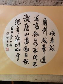 书法  苏东坡诗一首 题西林壁