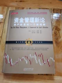 资金管理新论：资产配置的一个新框架（将资产在股票、基金、期权、期货中最优配置投资组合巧妙避风险赢收益实现财务自由）